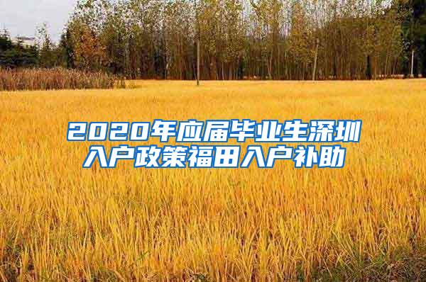 2020年应届毕业生深圳入户政策福田入户补助