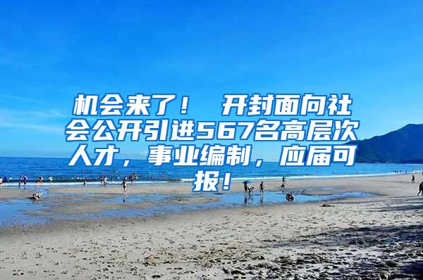 机会来了！ 开封面向社会公开引进567名高层次人才，事业编制，应届可报！