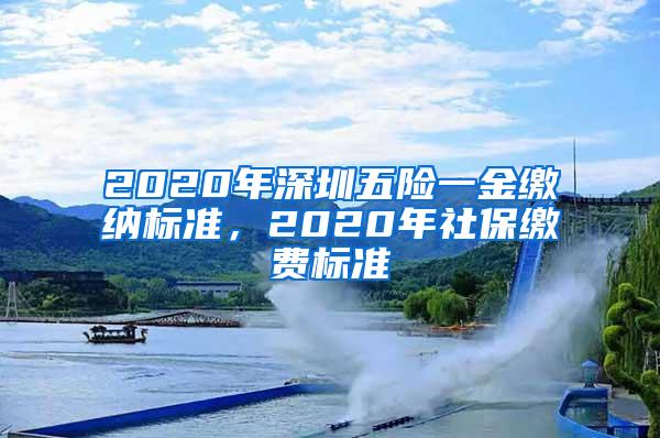 2020年深圳五险一金缴纳标准，2020年社保缴费标准