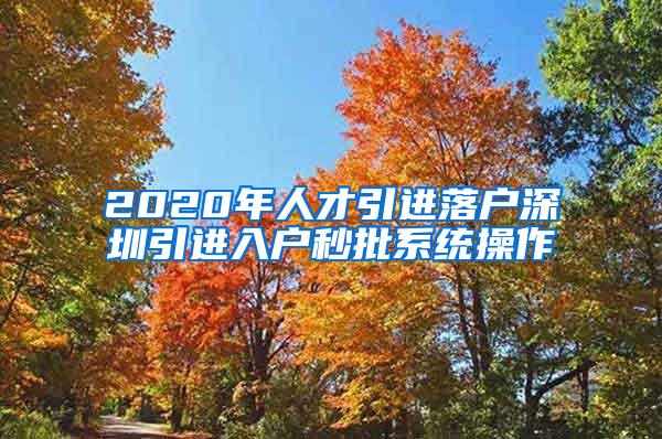 2020年人才引进落户深圳引进入户秒批系统操作