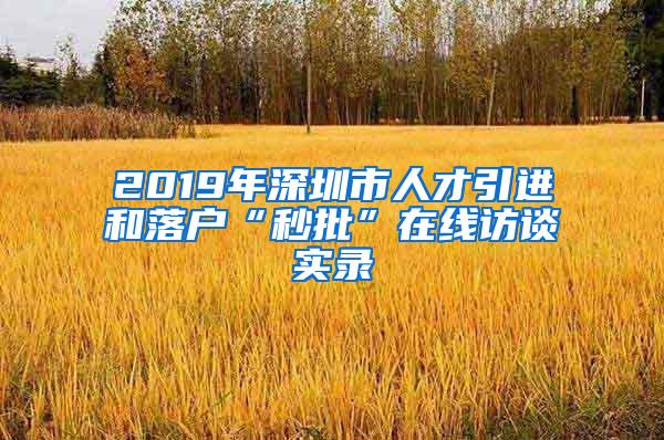 2019年深圳市人才引进和落户“秒批”在线访谈实录