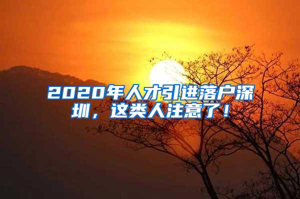 2020年人才引进落户深圳，这类人注意了！