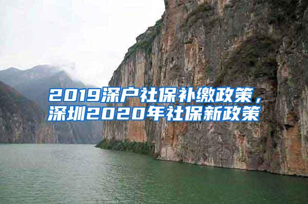 2019深户社保补缴政策，深圳2020年社保新政策