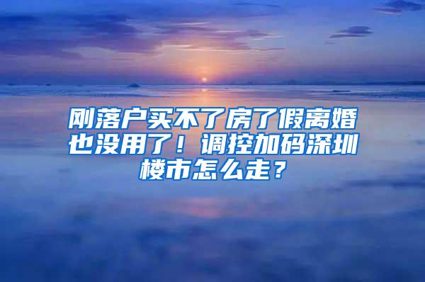 刚落户买不了房了假离婚也没用了！调控加码深圳楼市怎么走？