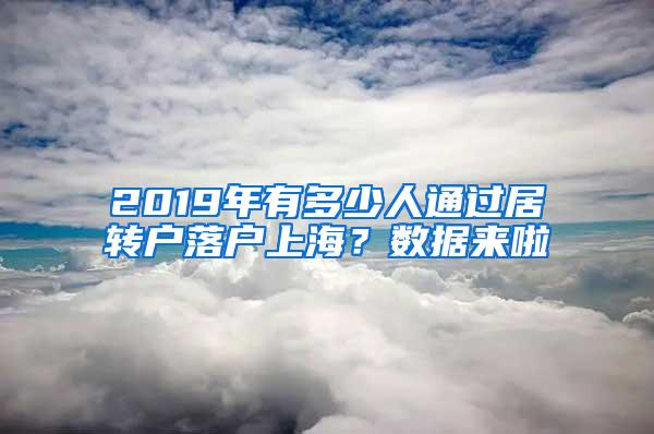 2019年有多少人通过居转户落户上海？数据来啦