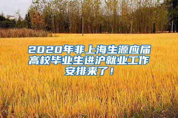 2020年非上海生源应届高校毕业生进沪就业工作安排来了！