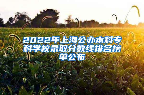 2022年上海公办本科专科学校录取分数线排名榜单公布