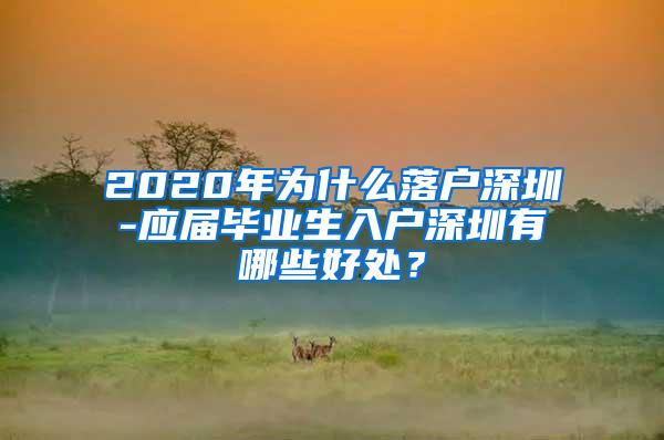 2020年为什么落户深圳-应届毕业生入户深圳有哪些好处？