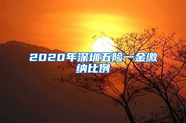 2020年深圳五险一金缴纳比例