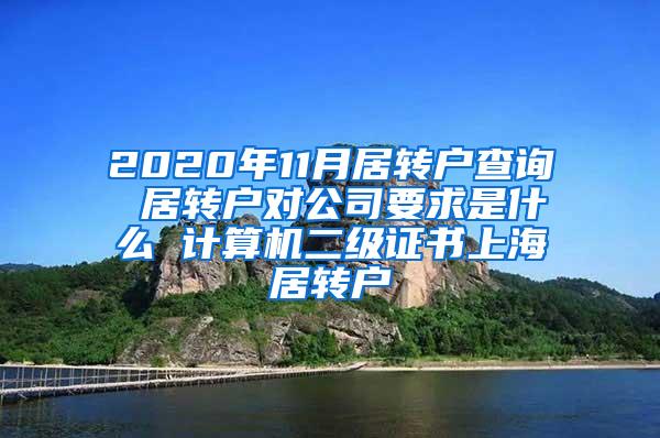 2020年11月居转户查询 居转户对公司要求是什么 计算机二级证书上海居转户