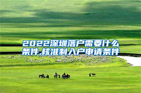 2022深圳落户需要什么条件,核准制入户申请条件