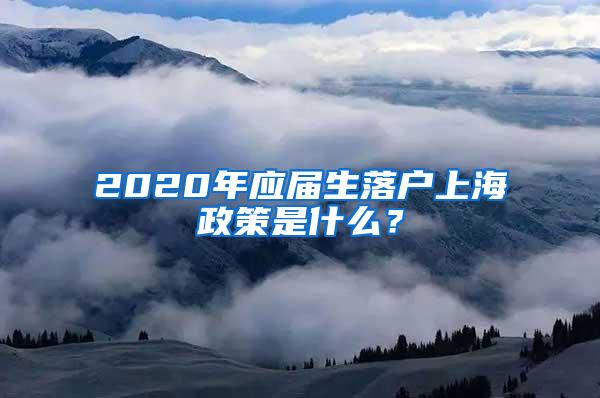 2020年应届生落户上海政策是什么？