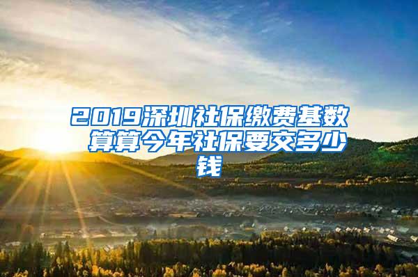 2019深圳社保缴费基数 算算今年社保要交多少钱