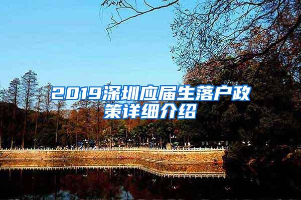 2019深圳应届生落户政策详细介绍