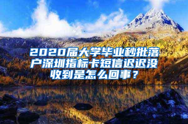 2020届大学毕业秒批落户深圳指标卡短信迟迟没收到是怎么回事？