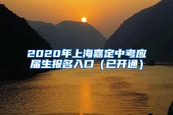 2020年上海嘉定中考应届生报名入口（已开通）