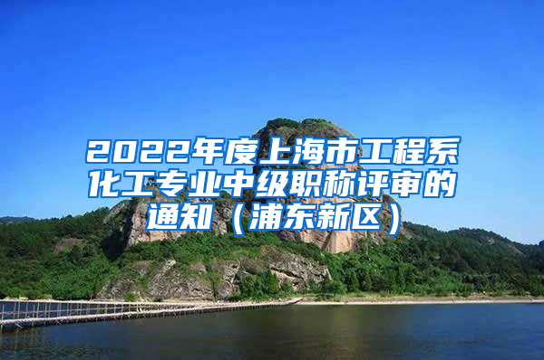 2022年度上海市工程系化工专业中级职称评审的通知（浦东新区）