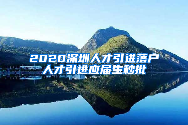 2020深圳人才引进落户人才引进应届生秒批