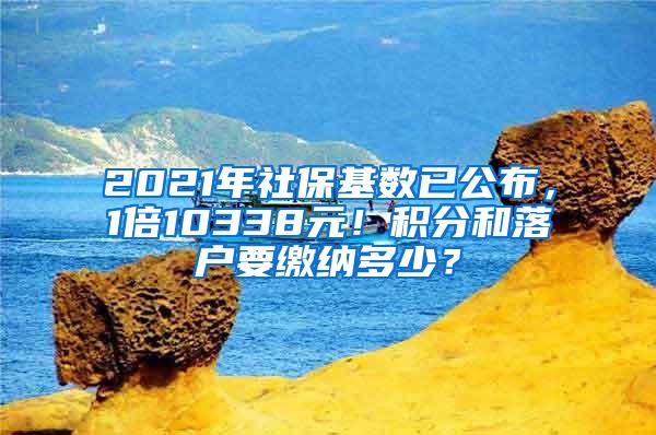 2021年社保基数已公布，1倍10338元！积分和落户要缴纳多少？