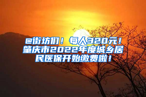 @街坊们！每人320元！肇庆市2022年度城乡居民医保开始缴费啦！