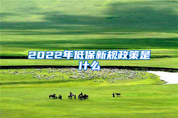 2022年低保新规政策是什么