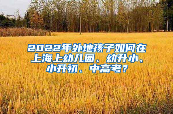 2022年外地孩子如何在上海上幼儿园、幼升小、小升初、中高考？