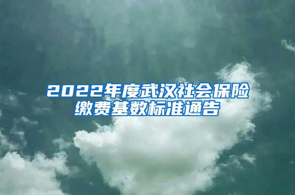 2022年度武汉社会保险缴费基数标准通告