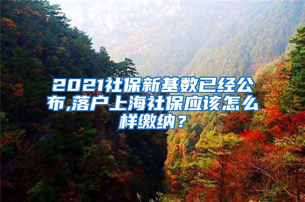 2021社保新基数已经公布,落户上海社保应该怎么样缴纳？