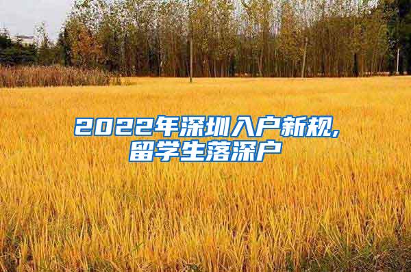 2022年深圳入户新规,留学生落深户