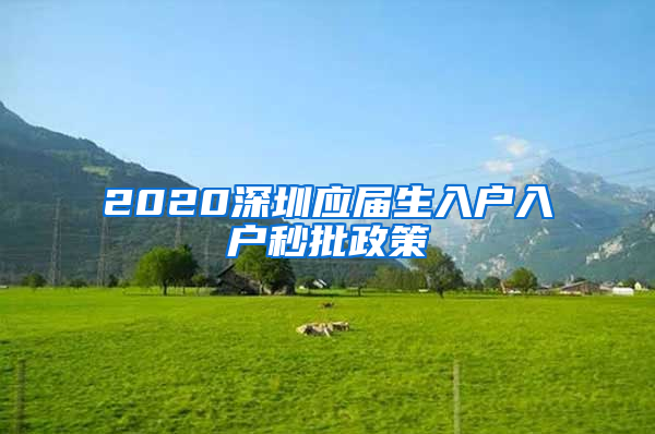 2020深圳应届生入户入户秒批政策