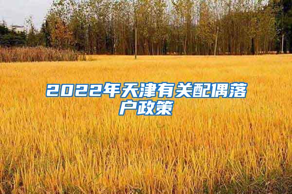 2022年天津有关配偶落户政策