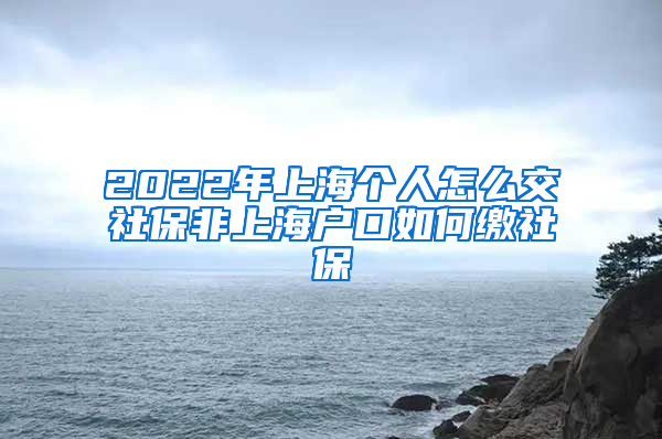 2022年上海个人怎么交社保非上海户口如何缴社保