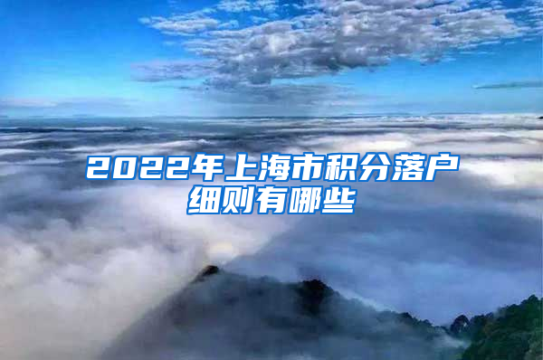 2022年上海市积分落户细则有哪些