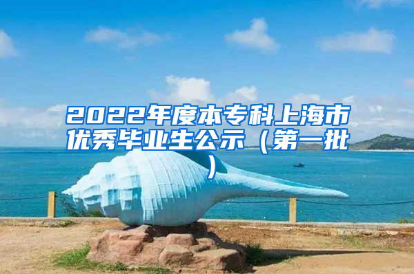 2022年度本专科上海市优秀毕业生公示（第一批）