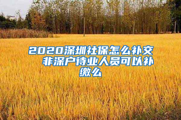 2020深圳社保怎么补交  非深户待业人员可以补缴么