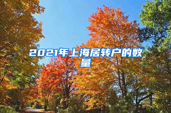 2021年上海居转户的数量