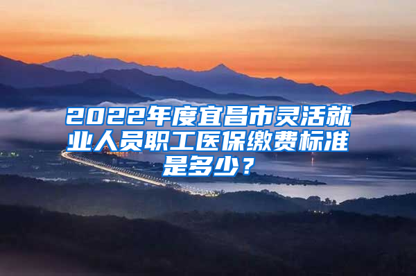 2022年度宜昌市灵活就业人员职工医保缴费标准是多少？