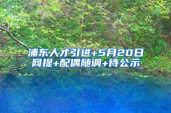 浦东人才引进+5月20日网提+配偶随调+待公示