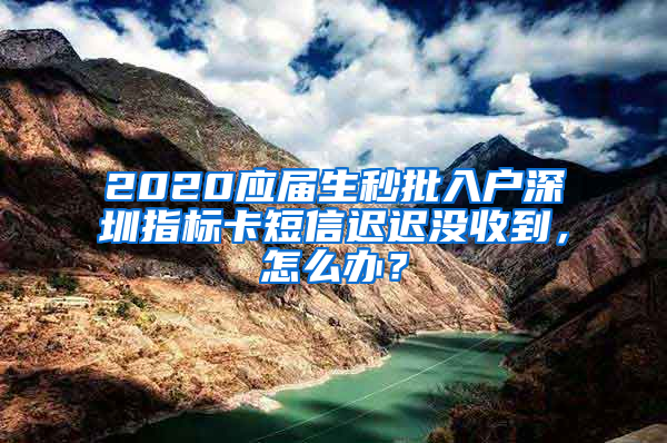 2020应届生秒批入户深圳指标卡短信迟迟没收到，怎么办？