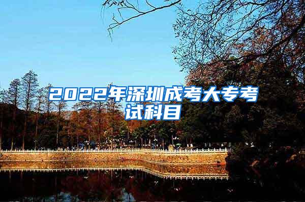 2022年深圳成考大专考试科目