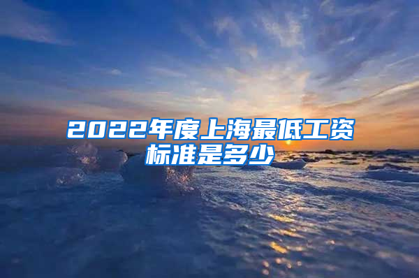 2022年度上海最低工资标准是多少