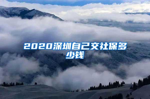 2020深圳自己交社保多少钱