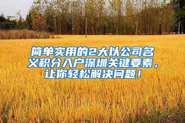 简单实用的2大以公司名义积分入户深圳关键要素，让你轻松解决问题！