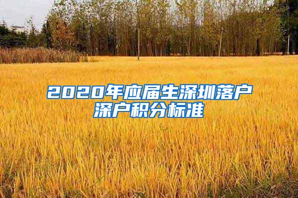 2020年应届生深圳落户深户积分标准