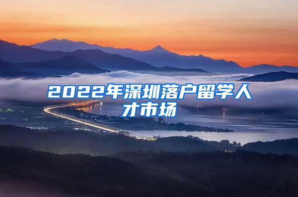 2022年深圳落户留学人才市场