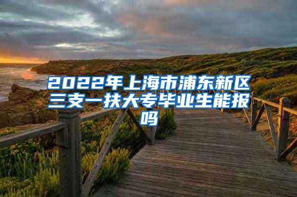 2022年上海市浦东新区三支一扶大专毕业生能报吗