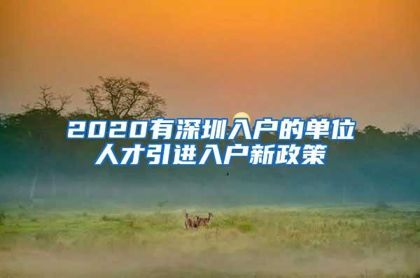 2020有深圳入户的单位人才引进入户新政策