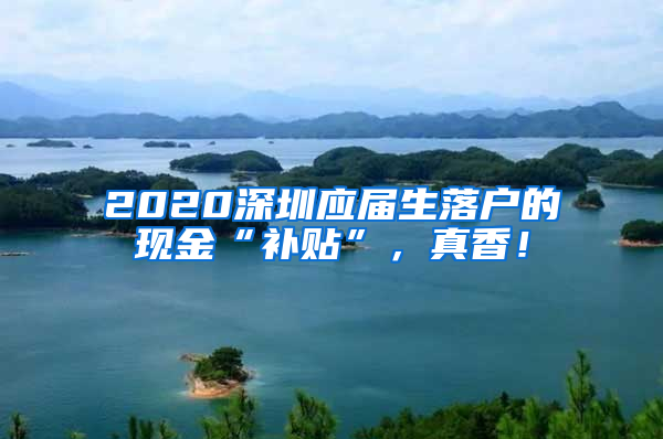 2020深圳应届生落户的现金“补贴”，真香！