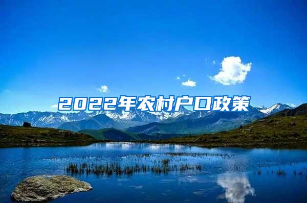 2022年农村户口政策