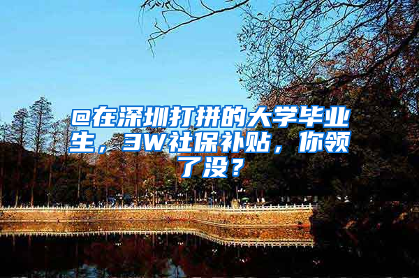 @在深圳打拼的大学毕业生，3W社保补贴，你领了没？